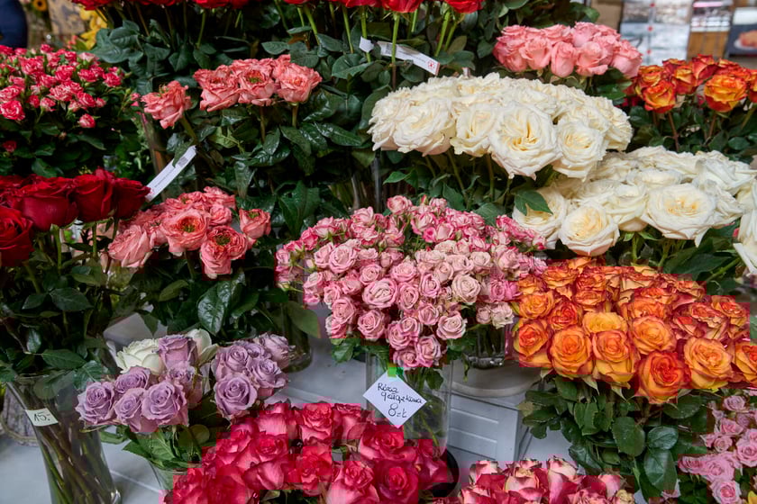 Kwiaty w Hali Targowej