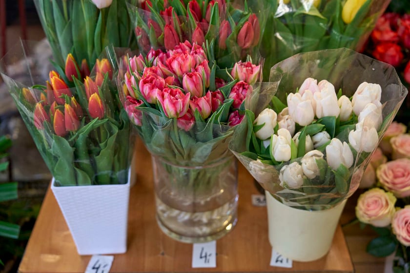 Kwiaty w Hali Targowej