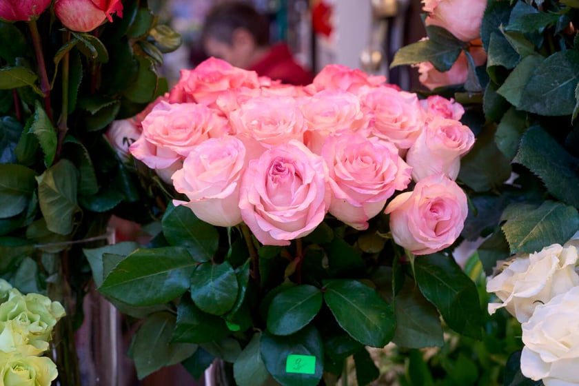 Kwiaty w Hali Targowej