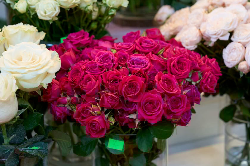 Kwiaty w Hali Targowej