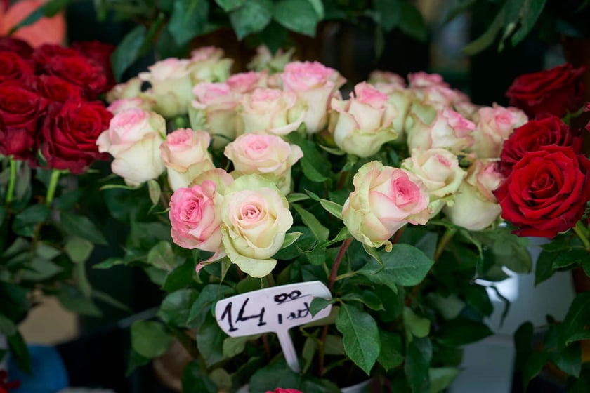 Kwiaty we Wrocławiu na pl. Solnym