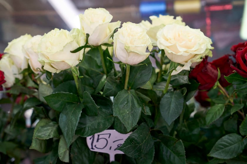 Kwiaty we Wrocławiu