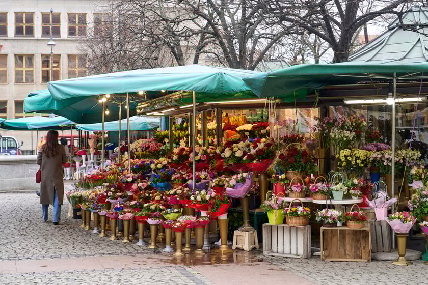 Kwiaty we Wrocławiu na pl. Solnym