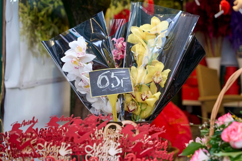 Kwiaty we Wrocławiu na pl. Solnym