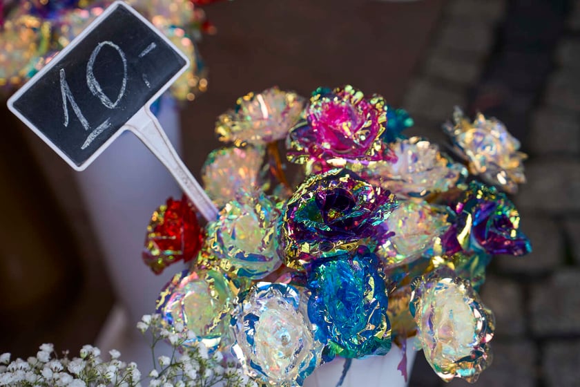 Kwiaty we Wrocławiu