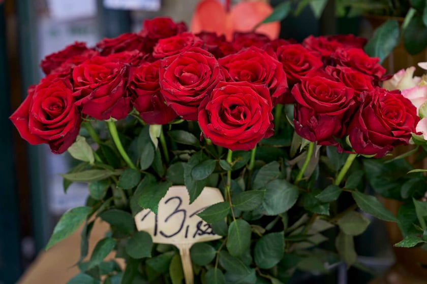 Kwiaty we Wrocławiu na pl. Solnym