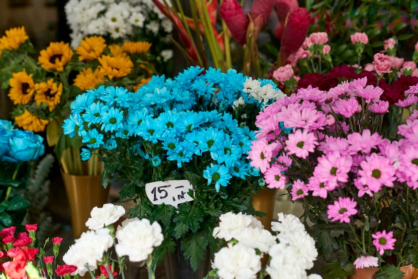 Kwiaty we Wrocławiu na pl. Solnym