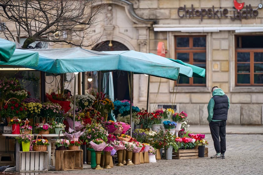 Kwiaty we Wrocławiu na pl. Solnym