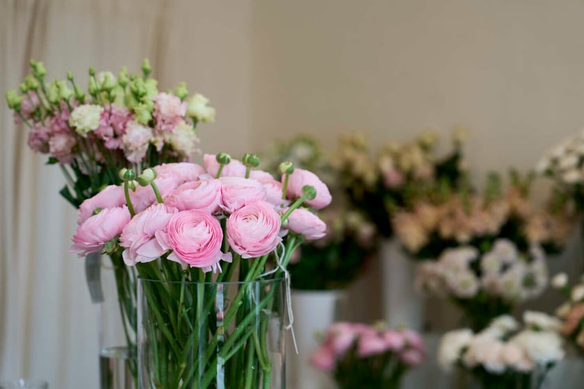 Kwiaty we Wrocławiu Sisters Garden