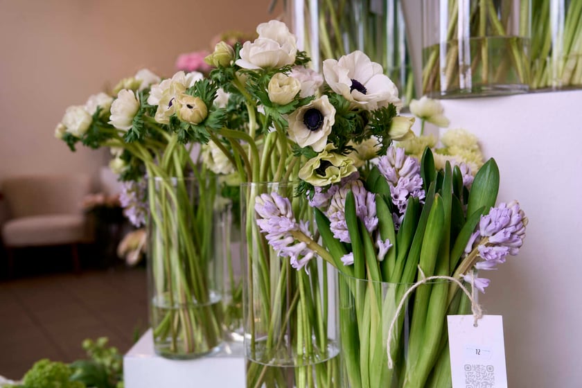 Kwiaty we Wrocławiu Sisters Garden