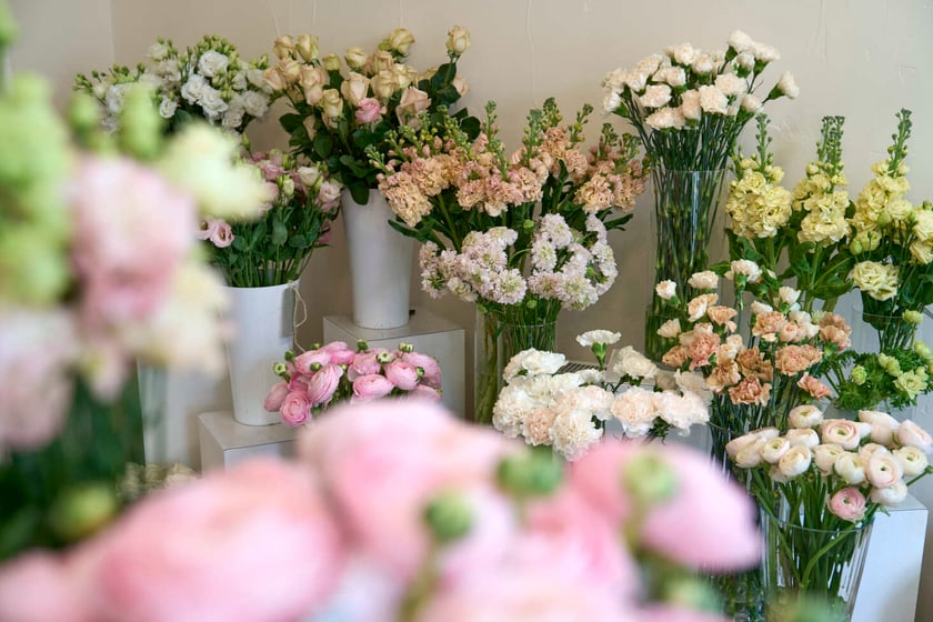 Kwiaty we Wrocławiu Sisters' Garden