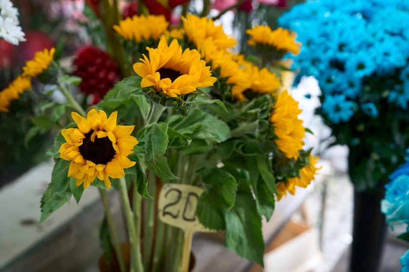 Kwiaty w Hali Targowej
