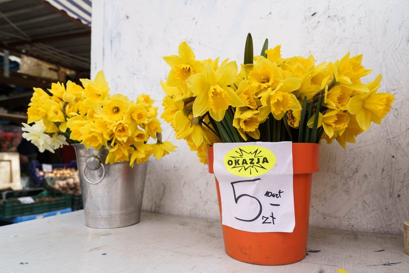 Bazar Komandor - produkty