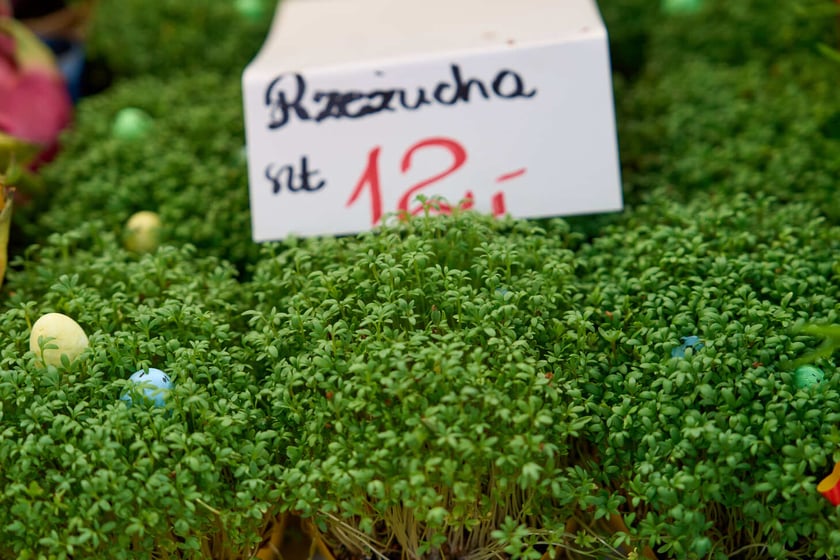 Hala Targowa przy ul. Piaskowej - produkty