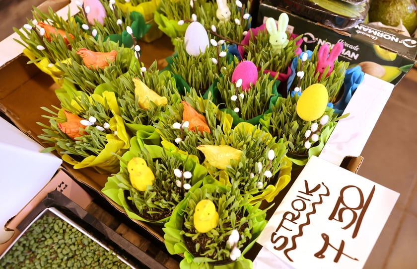 Targ przy ul. Bacciarellego