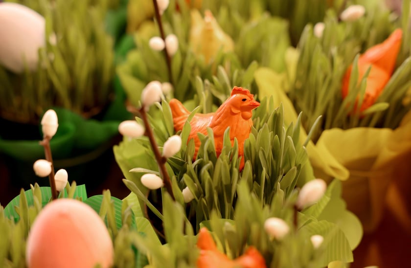 Targ przy ul. Bacciarellego