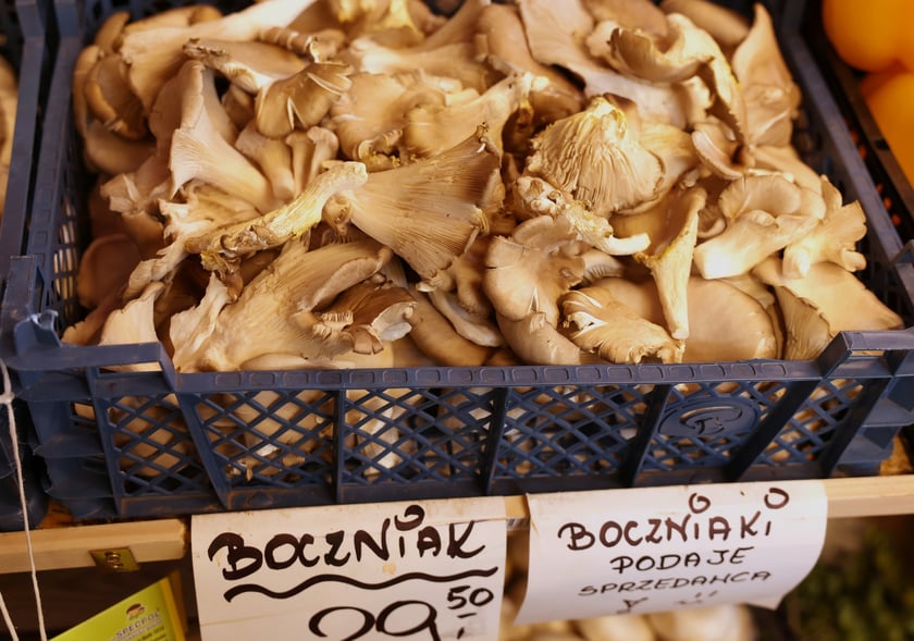 Targ przy ul. Bacciarellego