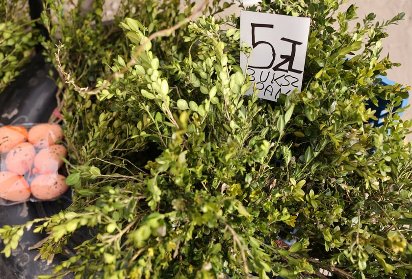 Targ przy ul. Bacciarellego