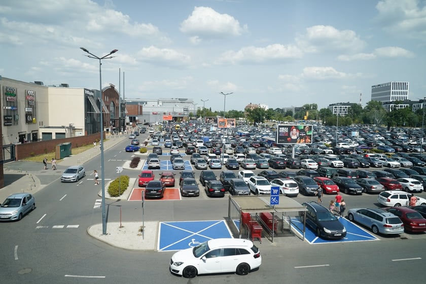 Niedziela w Magnolii Park, 30 czerwca 2024
