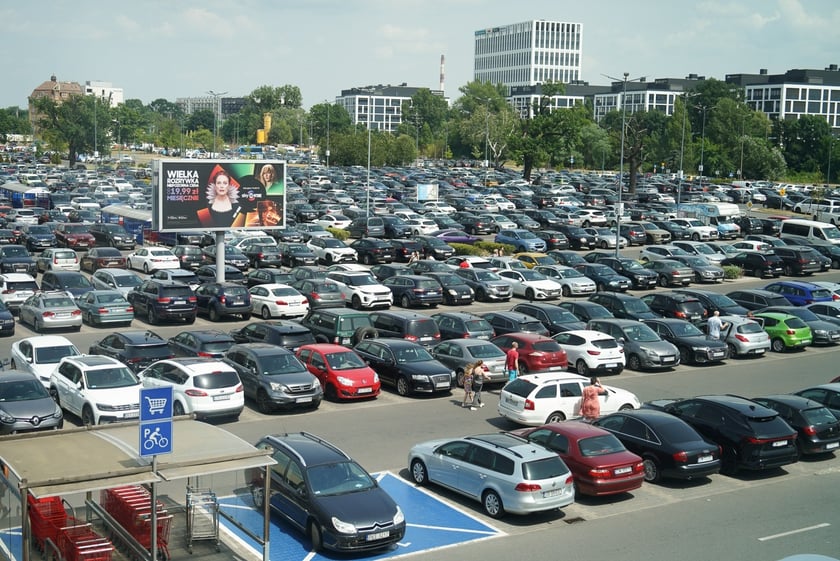 Niedziela w Magnolii Park, 30 czerwca 2024