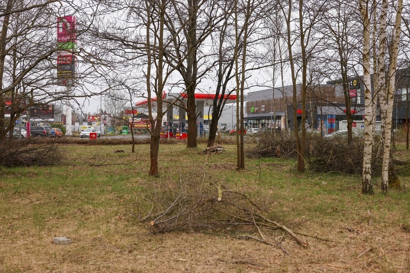 Na tym terenie powstanie Nowa Hala Tęcza na Maślicach