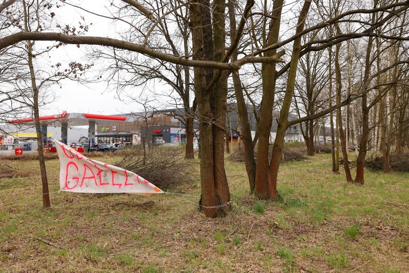 Na tym terenie powstanie Nowa Hala Tęcza na Maślicach