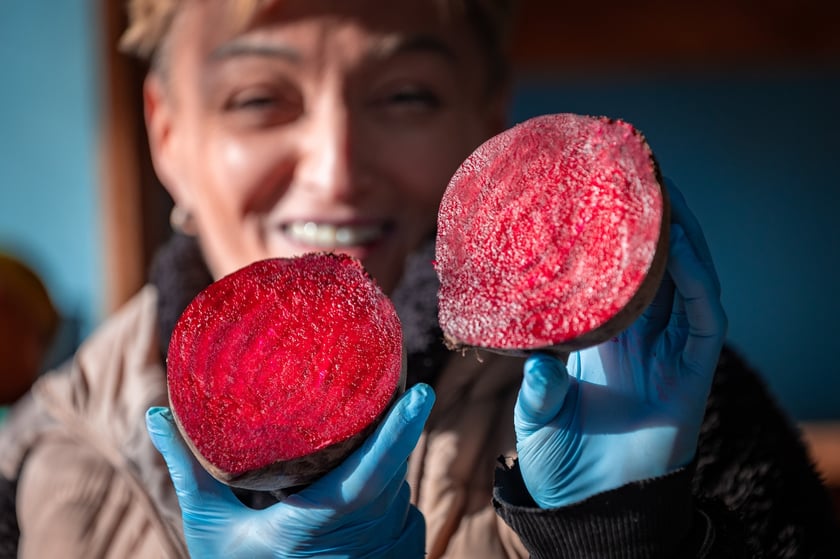 Sprzedaż buraków na wrocławskich targowiskach.