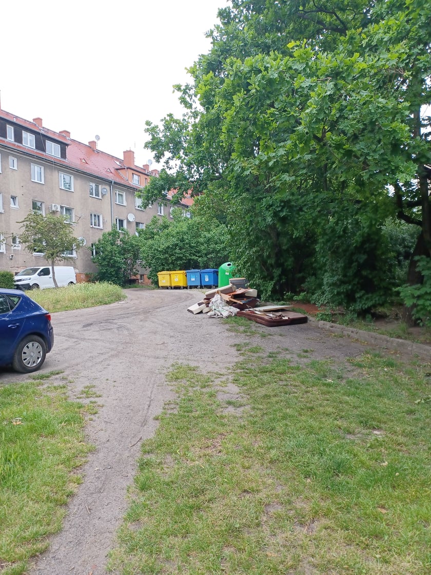 Na podwórzu widać wyjeżdżoną przez auta trawę i dwa parkujące na niej samochody. W głębi stoją śmietniki, przed nimi, na ziemi, leżą duże odpady.