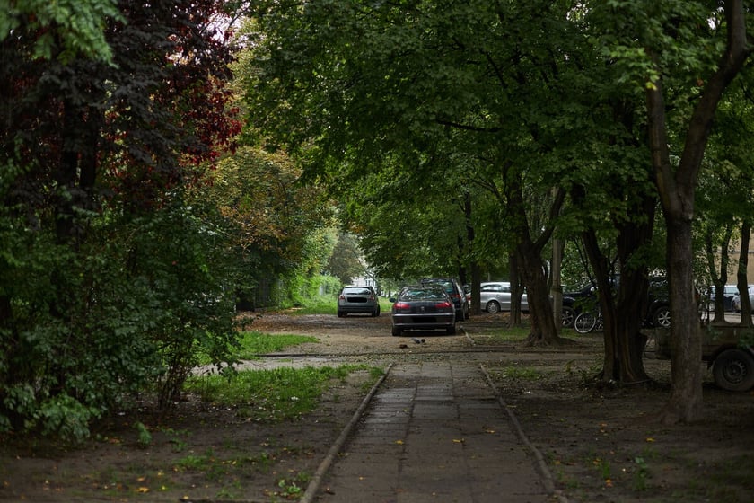 Skwer porośnięty wysokimi drzewami. Wśród drzew parkujące samochody mieszkańców. Wytyczone zaniedbane chodniki.