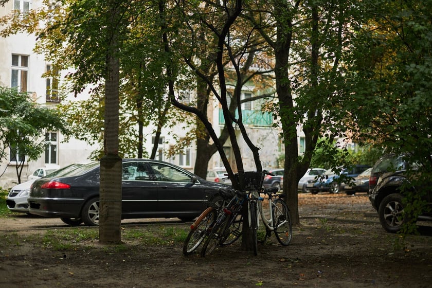 Rowery przywiązane do drzewa. Skwer i teren zieleni. Parkujące na nim samochody. W tle zabudowania mieszkalne.