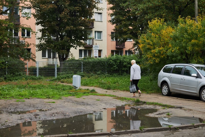 Widok na podwórko w kwartale ulic: Pereca, Szczęśliwej, Jemiołowej i Lwowskiej.