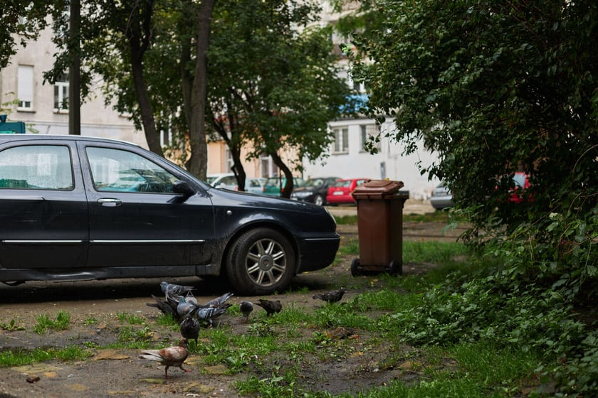 Widok na podwórko w kwartale ulic: Pereca, Szczęśliwej, Jemiołowej i Lwowskiej.