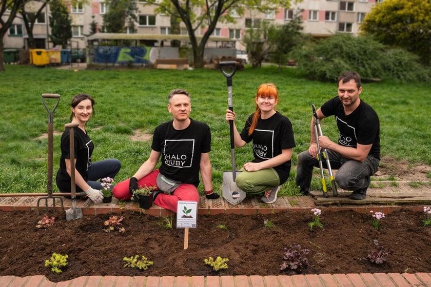 grupa liderów Halo Huby uczestnicząca w projekcie WALL