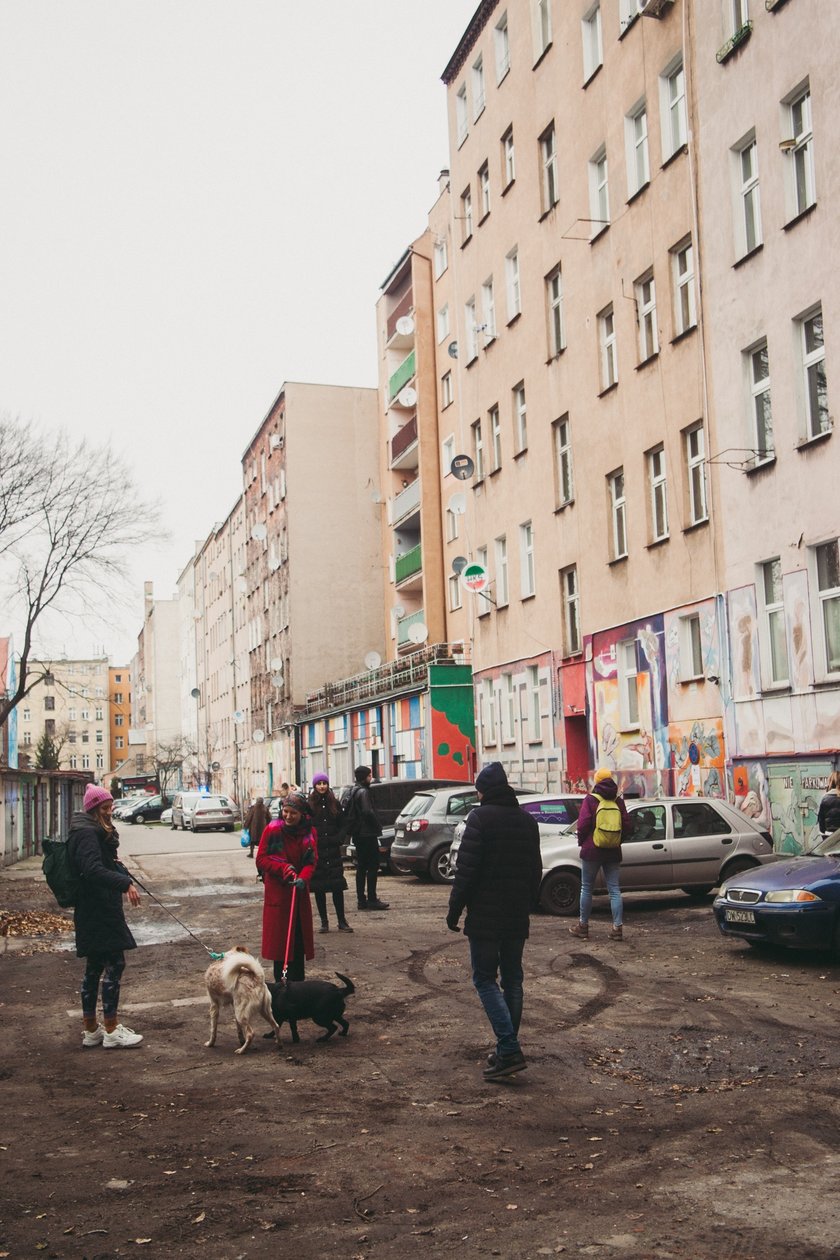 Przykladowy opis
