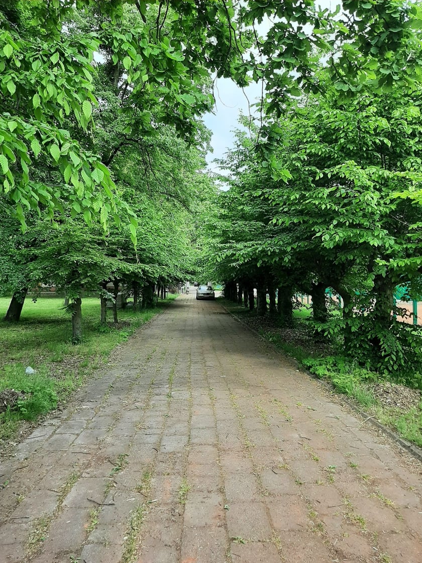 teren kortów przy ulicy Pułtuskiej
