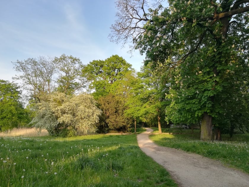park Leśnicki