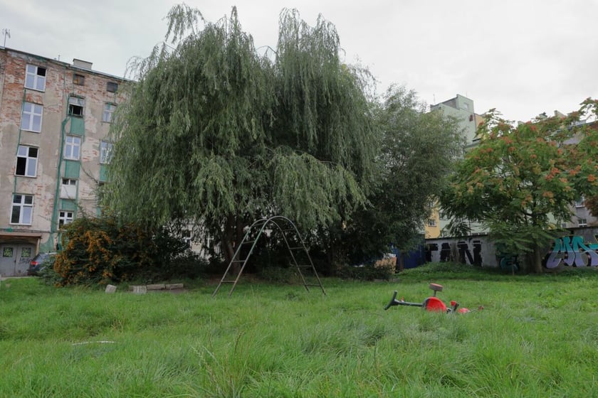 Widok podwórka przy ul. Górnickiego.
