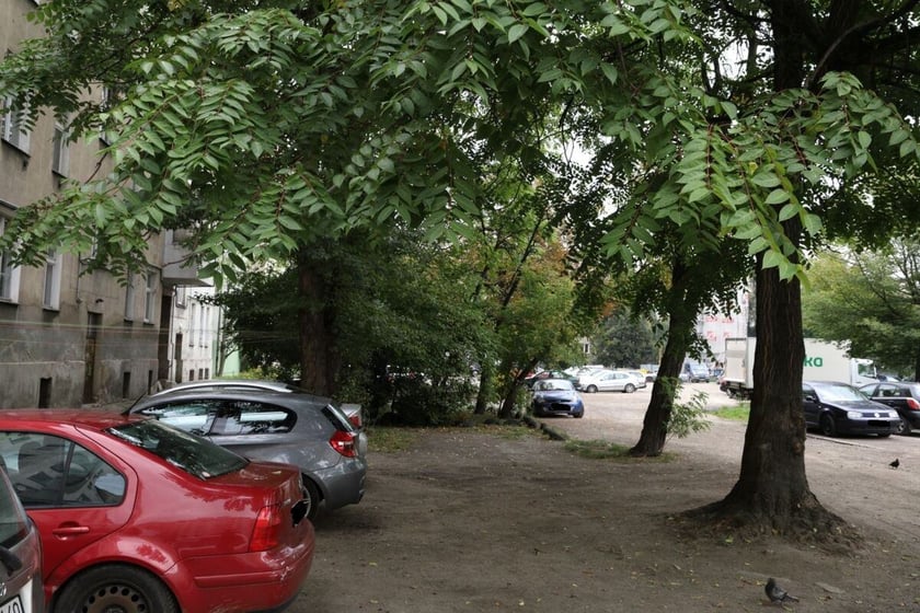 Widok podwórka przy ul. Górnickiego.
