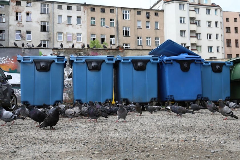 Widok podwórka przy ul. Górnickiego.