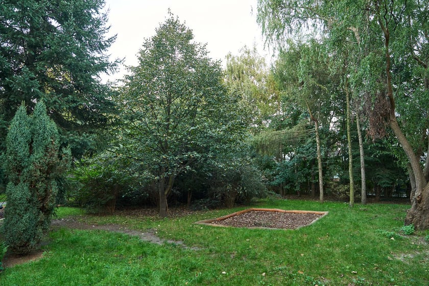 Muchoborski Zakątek Przygody, projekt nr 160 z WBO 2021.