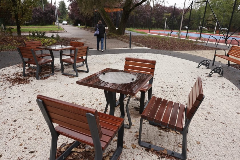 Park Rekreacyjny Mikołowska, drugi etap zagospodarowania, projekt nr 224 z WBO 2023.
