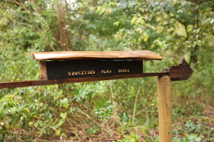 Smocze Uroczysko - naturalistyczny park na osiedlu Strachocin-Swojczyce-Wojnów. Projekt nr 326 w WBO 2021.