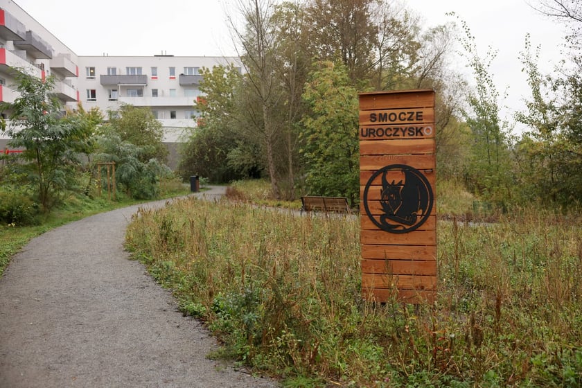 Smocze Uroczysko - naturalistyczny park na osiedlu Strachocin-Swojczyce-Wojnów. Projekt nr 326 w WBO 2021.