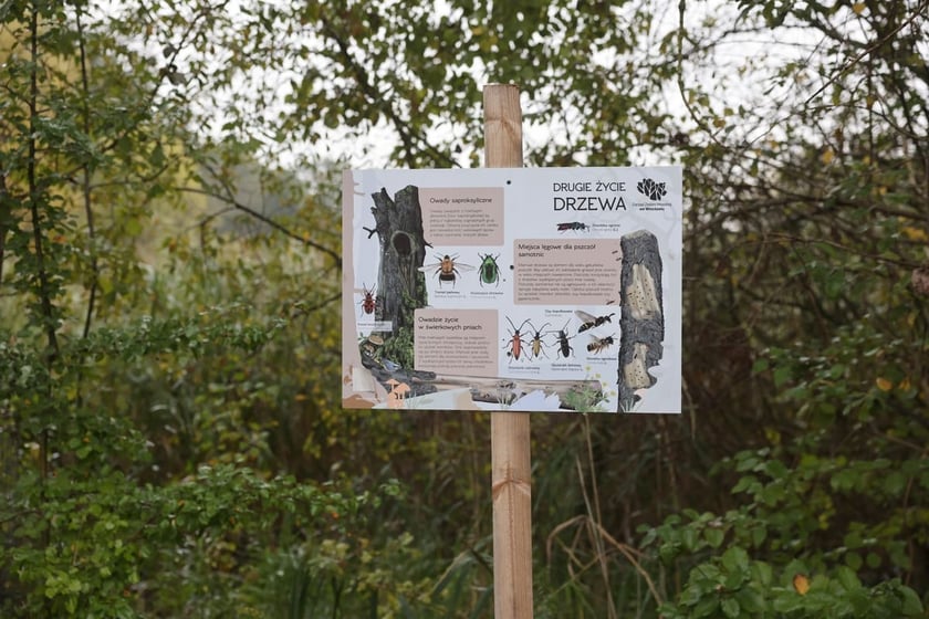 Smocze Uroczysko - naturalistyczny park na osiedlu Strachocin-Swojczyce-Wojnów. Projekt nr 326 w WBO 2021.