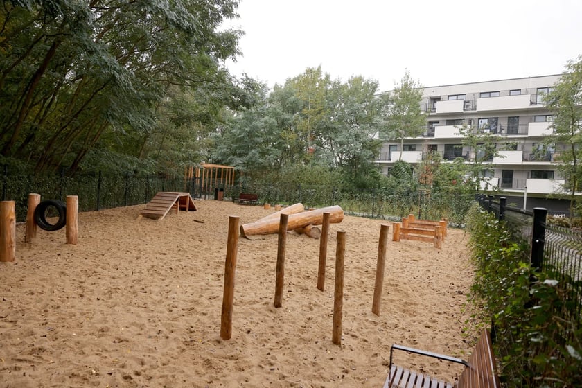 Smocze Uroczysko - naturalistyczny park na osiedlu Strachocin-Swojczyce-Wojnów. Projekt nr 326 w WBO 2021.