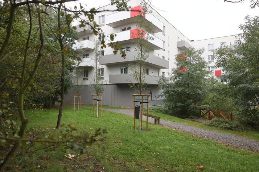 Smocze Uroczysko - naturalistyczny park na osiedlu Strachocin-Swojczyce-Wojnów. Projekt nr 326 w WBO 2021.