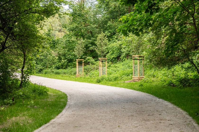 Trasa pieszo-rowerowa wzdłuż Oławy. Złożyły się na nią dwa projekty WBO: nr 4, który wygrał głosowanie w 2020 roku oraz nr 9 z 2021 roku.