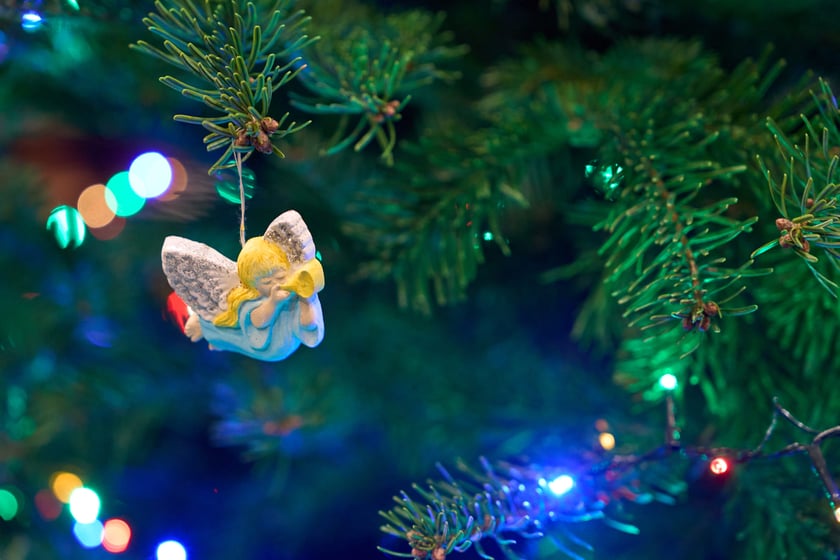 Coroczna Choinka Marzeń. Sala sesyjna Ratusza we Wrocławiu, 13.12.2024