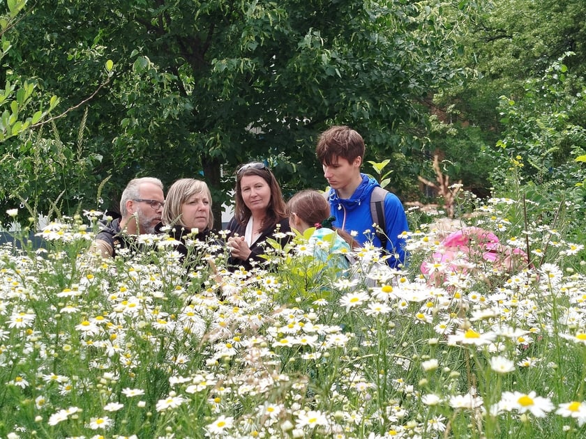 Mikrolas Miyawaki. Wizyta studyjna we Wrocławiu w ramach projektu GreenPlace.