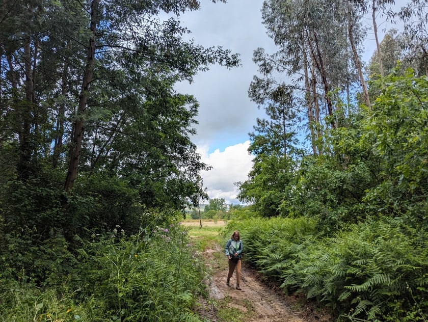 Green Zone w Vila Nova de Poiares. VI spotkanie ponadnarodowe sieci GreenPlace w Vila Nova de Poiares w Portugalii